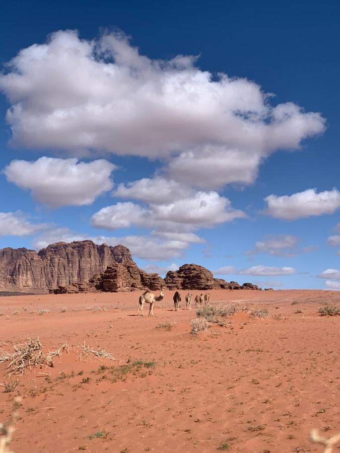 Wadi Rum Story Exteriér fotografie