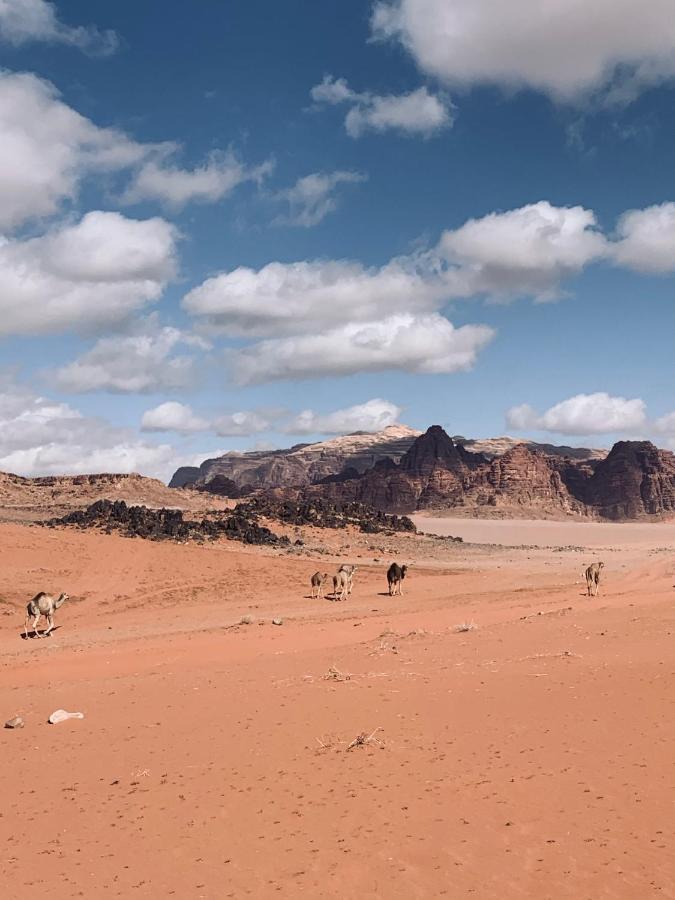 Wadi Rum Story Exteriér fotografie